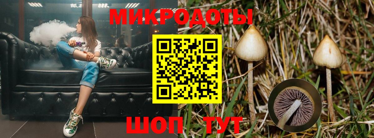 Галлюциногенные грибы Magic Shrooms  Вход с VPN  Псилоцибиновые грибы Magic Shrooms  Кандалакша 